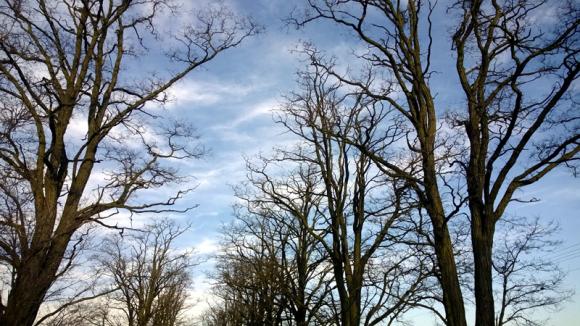 Czytelnicy pytają:  Czy wójt gminy Kutno zapomniał o Sierakowie?