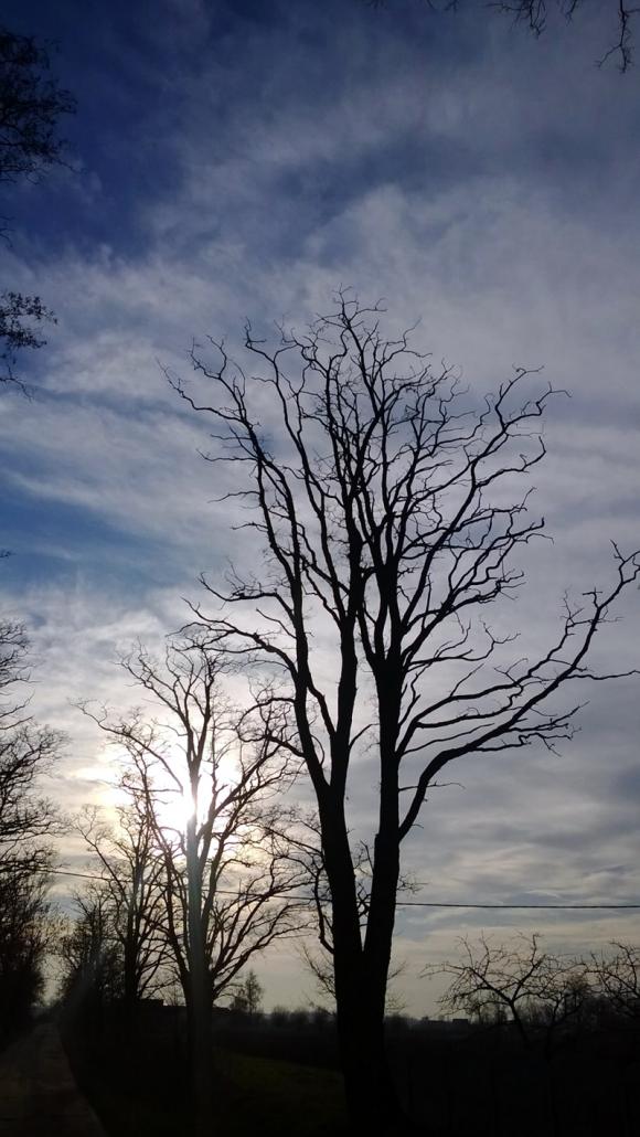 Czytelnicy pytają:  Czy wójt gminy Kutno zapomniał o Sierakowie?