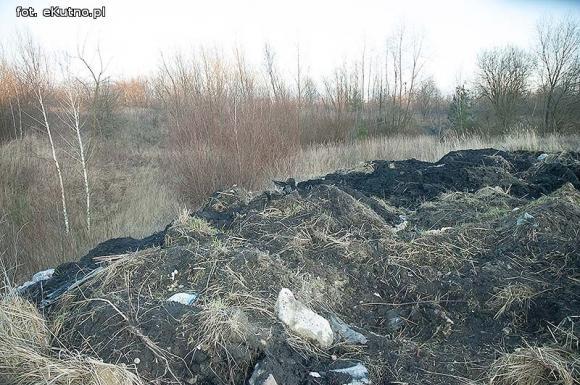 Kontrowersyjna rekultywacja wyrobisk w Kaszewach? Stowarzyszenie Czysta Okolica sprawdza