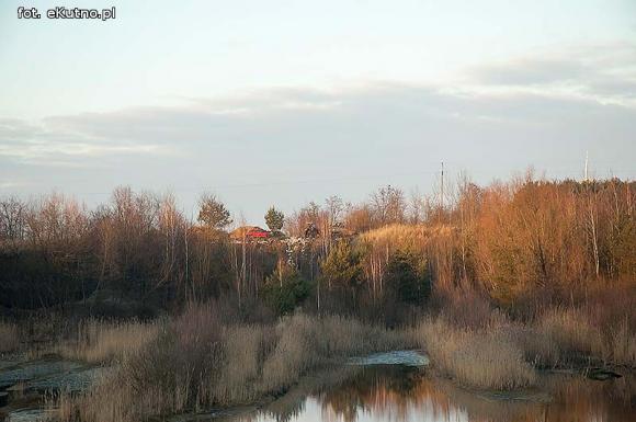 Kontrowersyjna rekultywacja wyrobisk w Kaszewach? Stowarzyszenie Czysta Okolica sprawdza