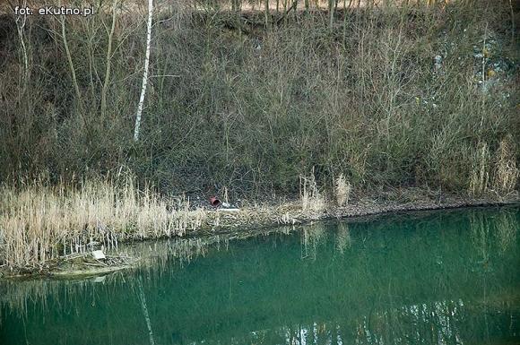 Kontrowersyjna rekultywacja wyrobisk w Kaszewach? Stowarzyszenie Czysta Okolica sprawdza