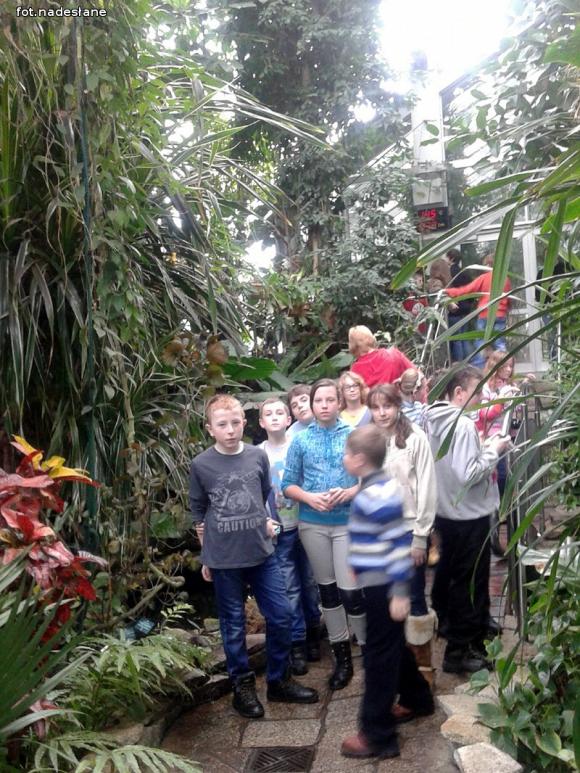 Feriada w żychlińskiej bibliotece