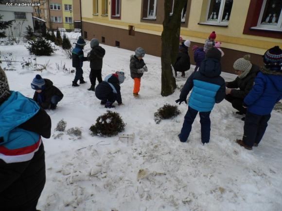 Rakietośniegowozem przez Lodową Krainę. Ferie w przedszkolu