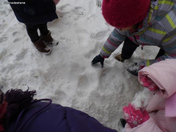 Rakietośniegowozem przez Lodową Krainę. Ferie w przedszkolu