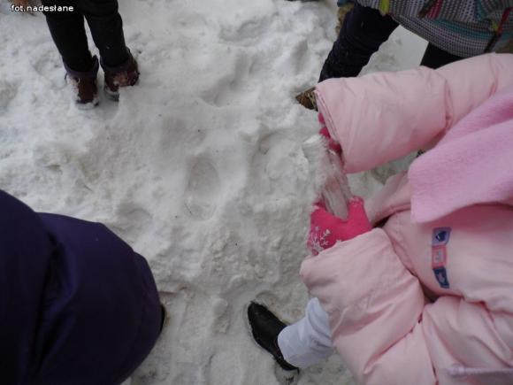 Rakietośniegowozem przez Lodową Krainę. Ferie w przedszkolu