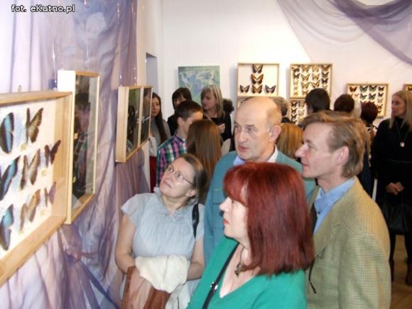 Zobacz motyle Morfidy  i największego chrząszcza świata. Zapraszamy do Muzeum