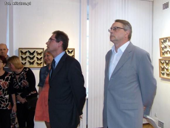 Zobacz motyle Morfidy  i największego chrząszcza świata. Zapraszamy do Muzeum