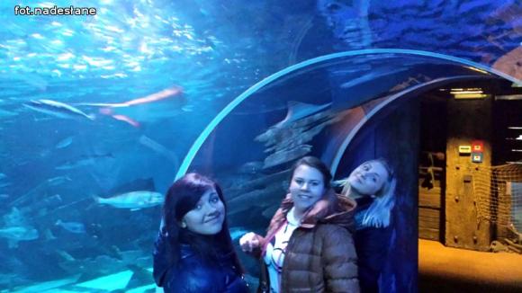 Uczniowie Zespołu Szkół CKR w Mieczysławowie w DEULA Berlin