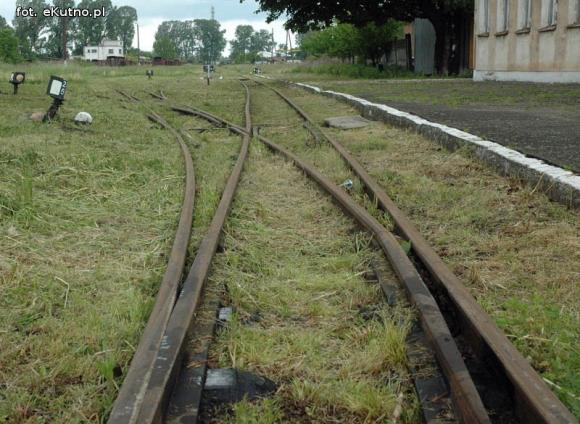 100-lecie istnienia Kujawskich Kolei Wąskotorowych. Czy będą obchody w Krośniewicach?