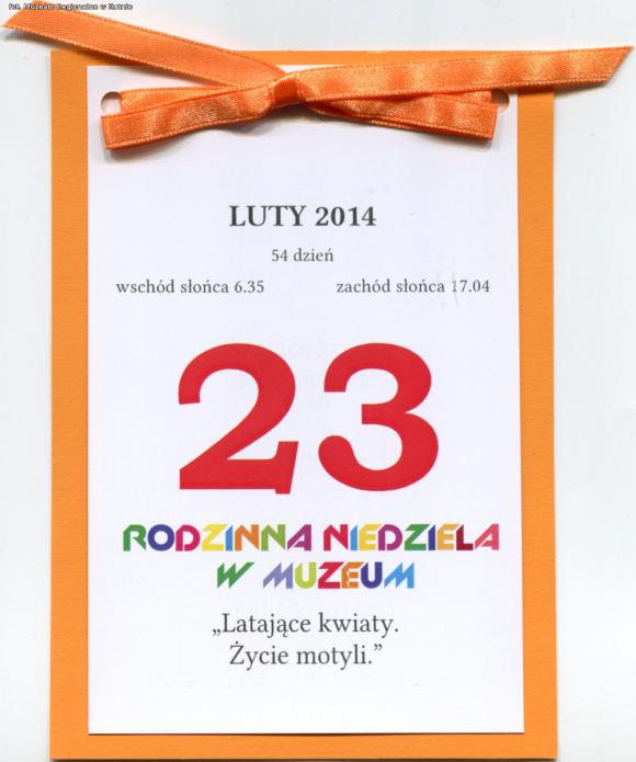Latające kwiaty. Poznawali życie motyli podczas Rodzinnej Niedzieli w Muzeum