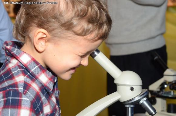 Latające kwiaty. Poznawali życie motyli podczas Rodzinnej Niedzieli w Muzeum