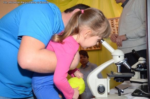 Latające kwiaty. Poznawali życie motyli podczas Rodzinnej Niedzieli w Muzeum