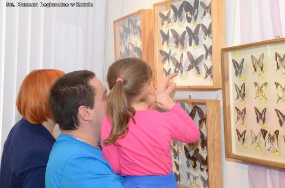 Latające kwiaty. Poznawali życie motyli podczas Rodzinnej Niedzieli w Muzeum
