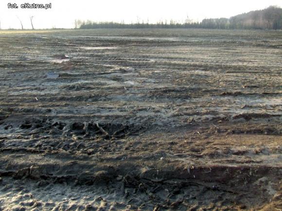 Wylewy odpadów na pola zagrożeniem dla środowiska