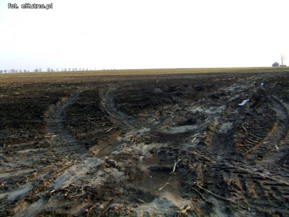Wylewy odpadów na pola zagrożeniem dla środowiska