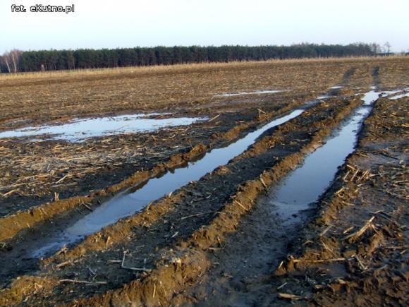 Wylewy odpadów na pola zagrożeniem dla środowiska