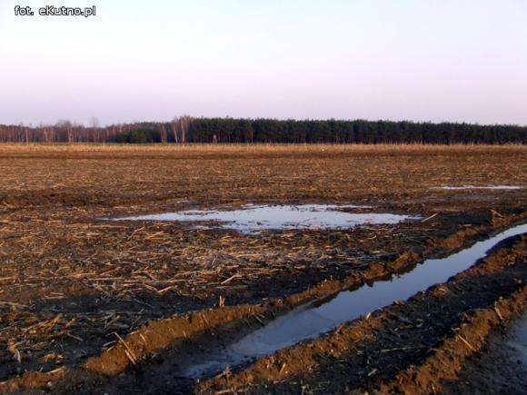 Wylewy odpadów na pola zagrożeniem dla środowiska