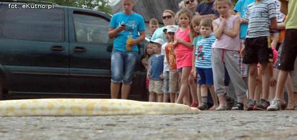 Lena, Aleksander i Kalif wiły się w rękach kutnian