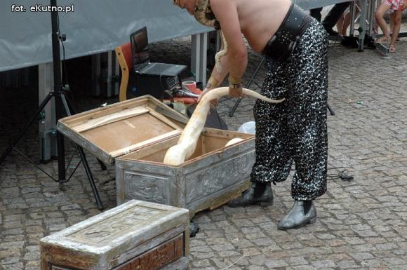 Lena, Aleksander i Kalif wiły się w rękach kutnian