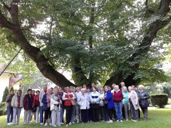 Żychlin: Podsumowanie projektu Senior 24 h w plenerze