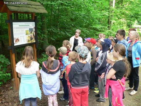 Dzieci dobrze się bawiły na półkoloniach z MDK