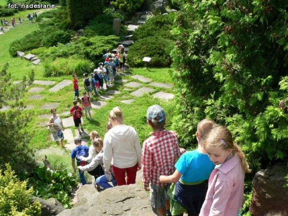 Dzieci dobrze się bawiły na półkoloniach z MDK
