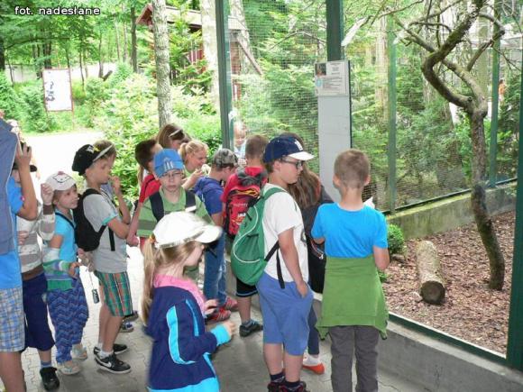 Dzieci dobrze się bawiły na półkoloniach z MDK