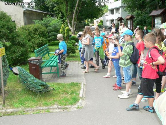 Dzieci dobrze się bawiły na półkoloniach z MDK