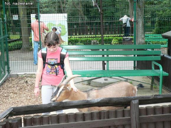 Dzieci dobrze się bawiły na półkoloniach z MDK