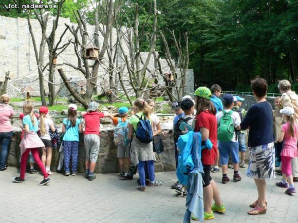 Dzieci dobrze się bawiły na półkoloniach z MDK