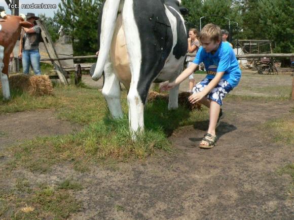 Dzieci dobrze się bawiły na półkoloniach z MDK