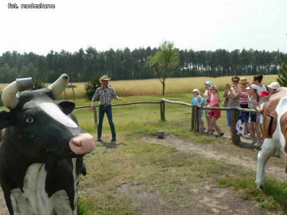 Dzieci dobrze się bawiły na półkoloniach z MDK