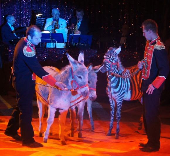 Wygrali rodzinne bilety do Cyrku Safari