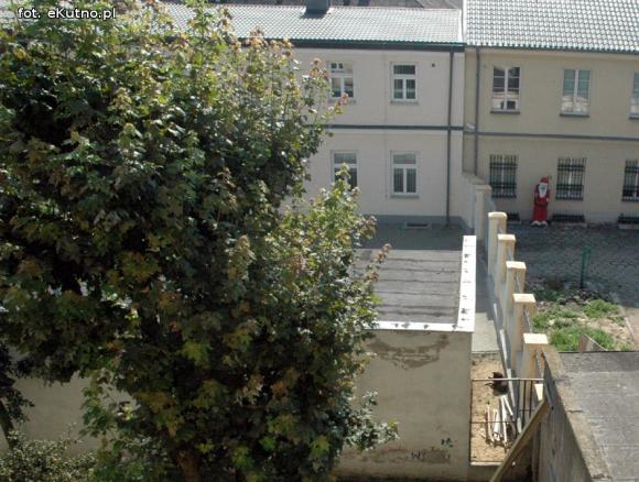 Pieskie życie w Kutnie. Komu zginął piesek?