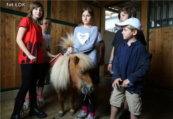 Kolorowa Lokomotywa jedzie dalej - szuka chętnych dzieci na drugi etap