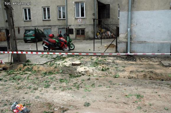 Czytelnicy piszą: Na Kilińskiego wycinają zdrowe drzewa