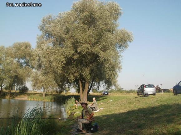 Wczoraj odbyła się druga runda Kutnowskiej Ligi Wędkarskiej