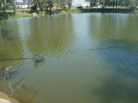 Wczoraj odbyła się druga runda Kutnowskiej Ligi Wędkarskiej