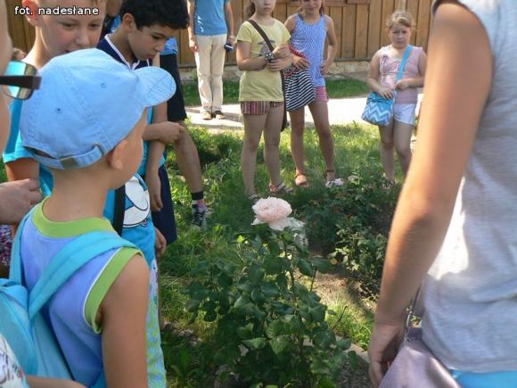 Wycieczkowy tydzień Wakacji w Bibliotece. Kiedy dziadkowie byli dziećmi
