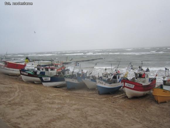 Udane kolonie w Jarosławcu