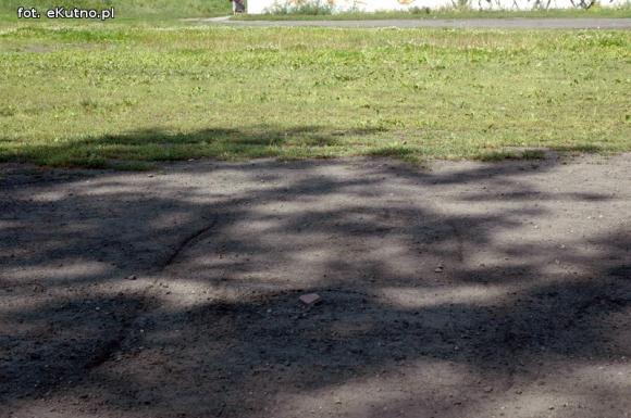 Dzieci doskonale bawią się na wakacjach w Kutnie