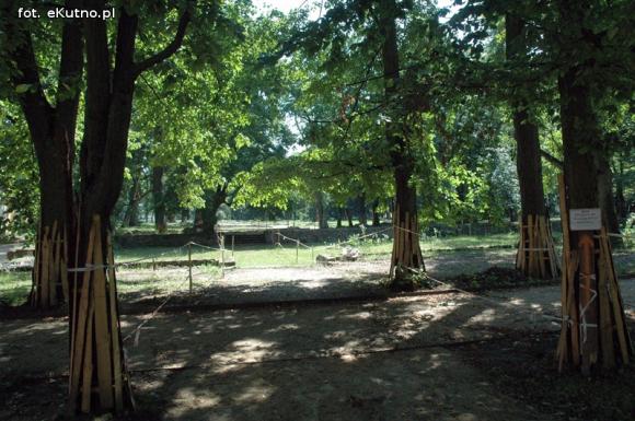 Przyrodnicza perła województwa łódzkiego? Rewitalizacja parku i kontrowersje