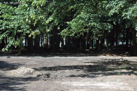 Przyrodnicza perła województwa łódzkiego? Rewitalizacja parku i kontrowersje