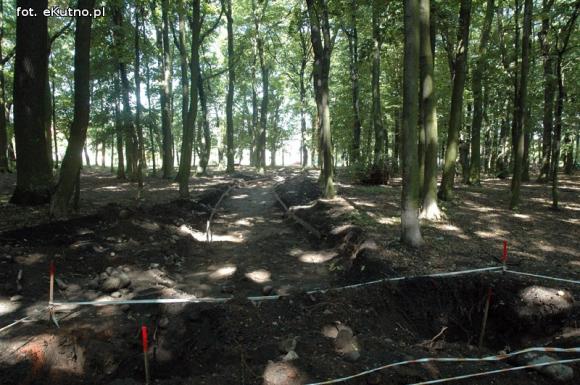 Przyrodnicza perła województwa łódzkiego? Rewitalizacja parku i kontrowersje