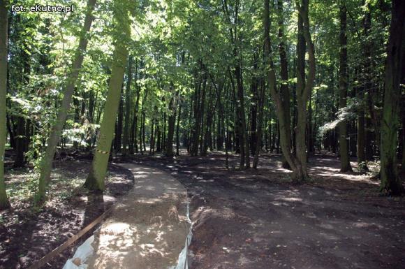 Przyrodnicza perła województwa łódzkiego? Rewitalizacja parku i kontrowersje