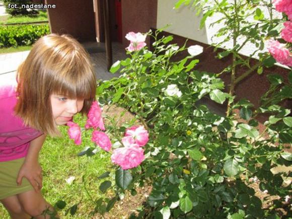 W nagrodę pojadą do ogrodu różanego w Forst