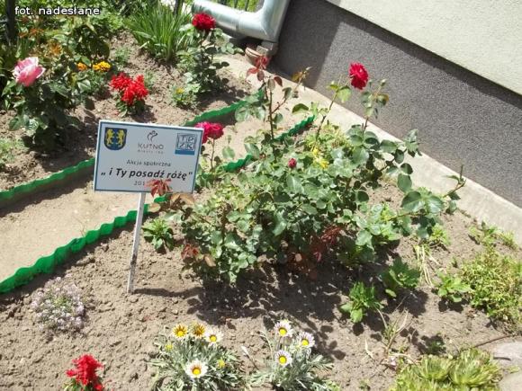 W nagrodę pojadą do ogrodu różanego w Forst