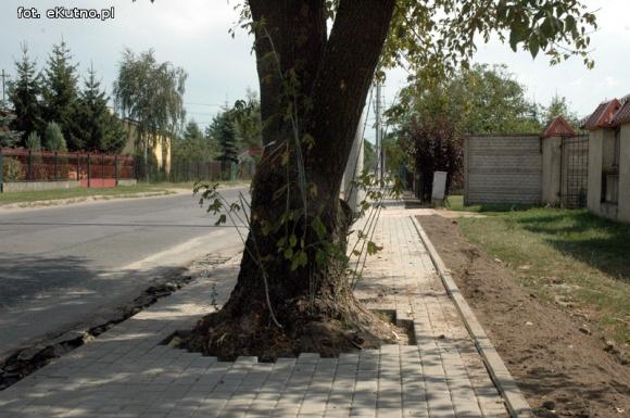 Czytelnicy piszą: Inwestycje po kutnowsku. Nowy chodnik z drzewem
