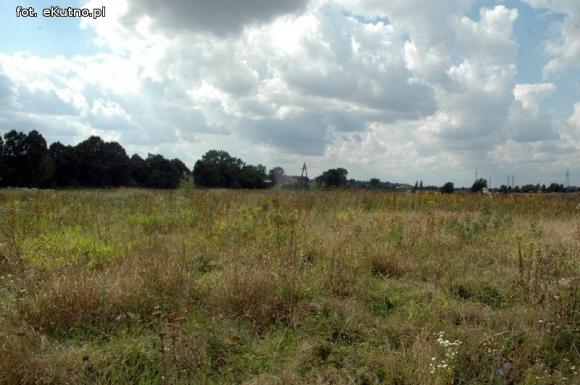 Zielone tereny zaniedbane w Kutnie cz.1.