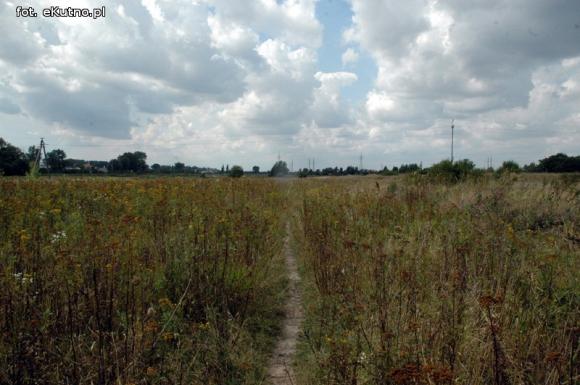 Zielone tereny zaniedbane w Kutnie cz.1.